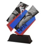 Plaketa karate - ACZC001M33