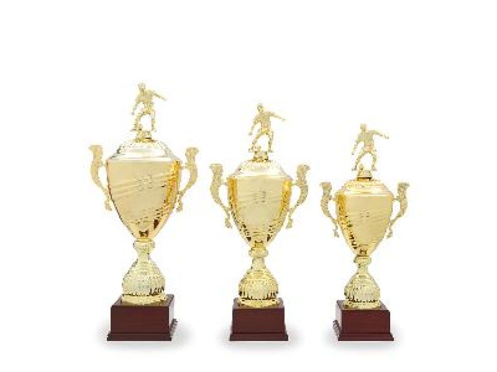 Fotbalový pohár - 22529