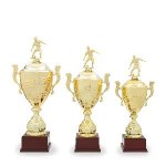 Fotbalový pohár - 22529