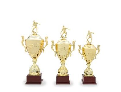 Fotbalový pohár - 22529