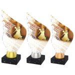 Taneční trofej - AKEA1M25