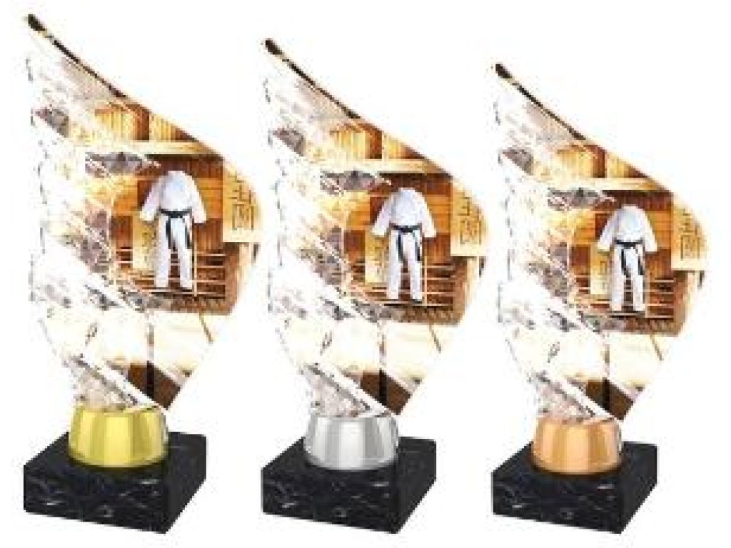 Judistická trofej - AKEA1M14