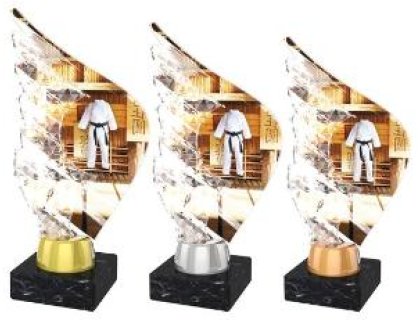 Judistická trofej - AKEA1M14