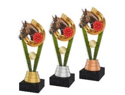 Jezdectví trofej - ACUTM12
