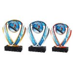 Snowboardingová trofej - ACRCSM12