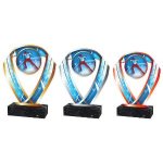 Běh na lyžích trofej - ACRCSM7