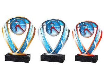 Běh na lyžích trofej - ACRCSM7