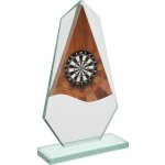 Šipky skleněná trofej - CRT20008M16