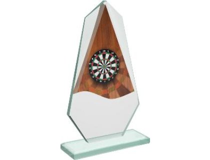 Šipky skleněná trofej - CRT20008M16