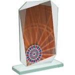 Šipky skleněná trofej - CRT20008M16