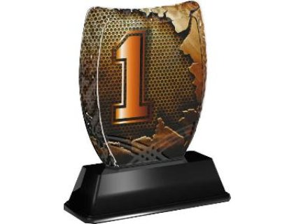 Plaketa číslo 1 - ACE2018M45