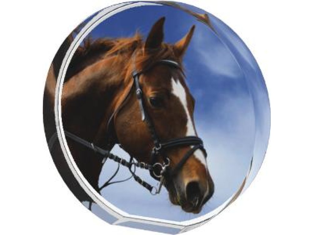 Koňská trofej - CR4035M37