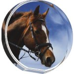 Koňská trofej - CR4035M37