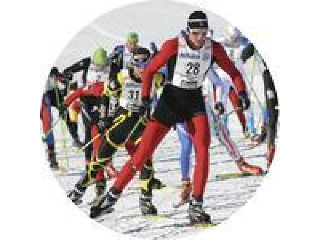 Emblém lyžování - 138