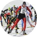 Emblém lyžování - 138