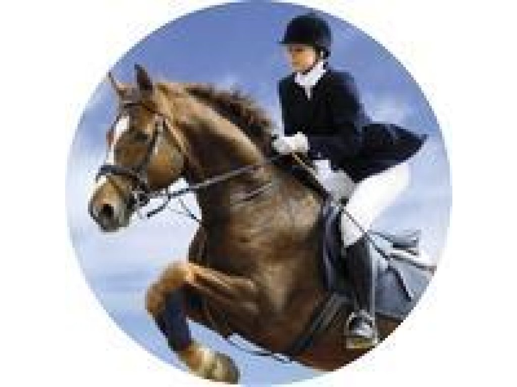 Emblém jezdectví - 108