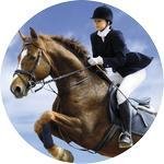 Emblém jezdectví - 108