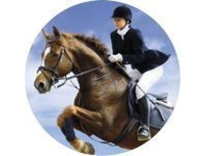 Emblém jezdectví - 108