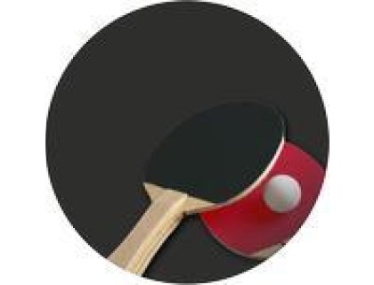 Emblém ping pong - 30