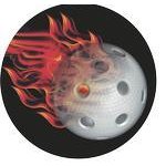 Emblém florbal - 75