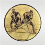 Emblém florbal - 75