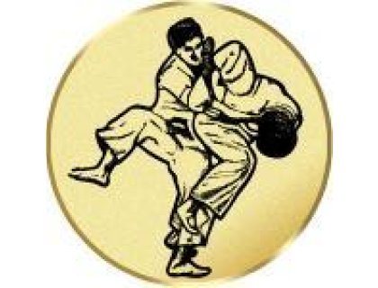 Emblém judo - LTK168