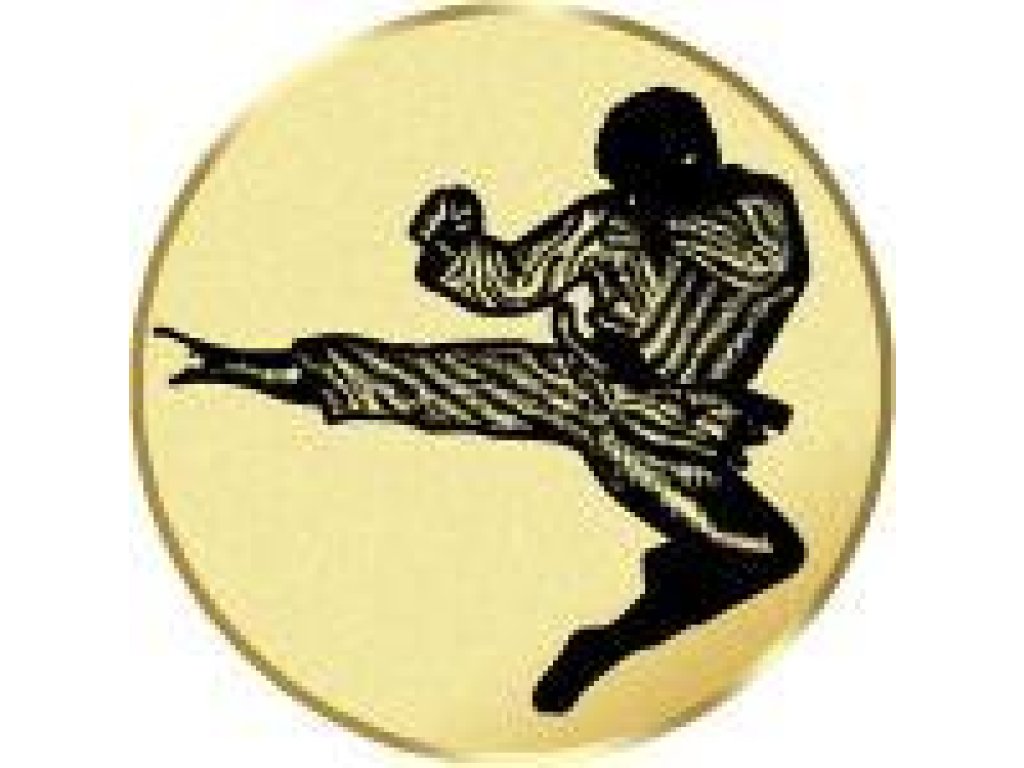 Emblém karate - LTK169