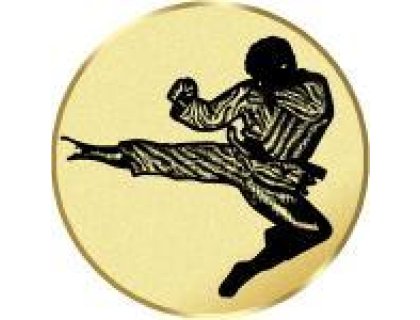 Emblém karate - LTK169
