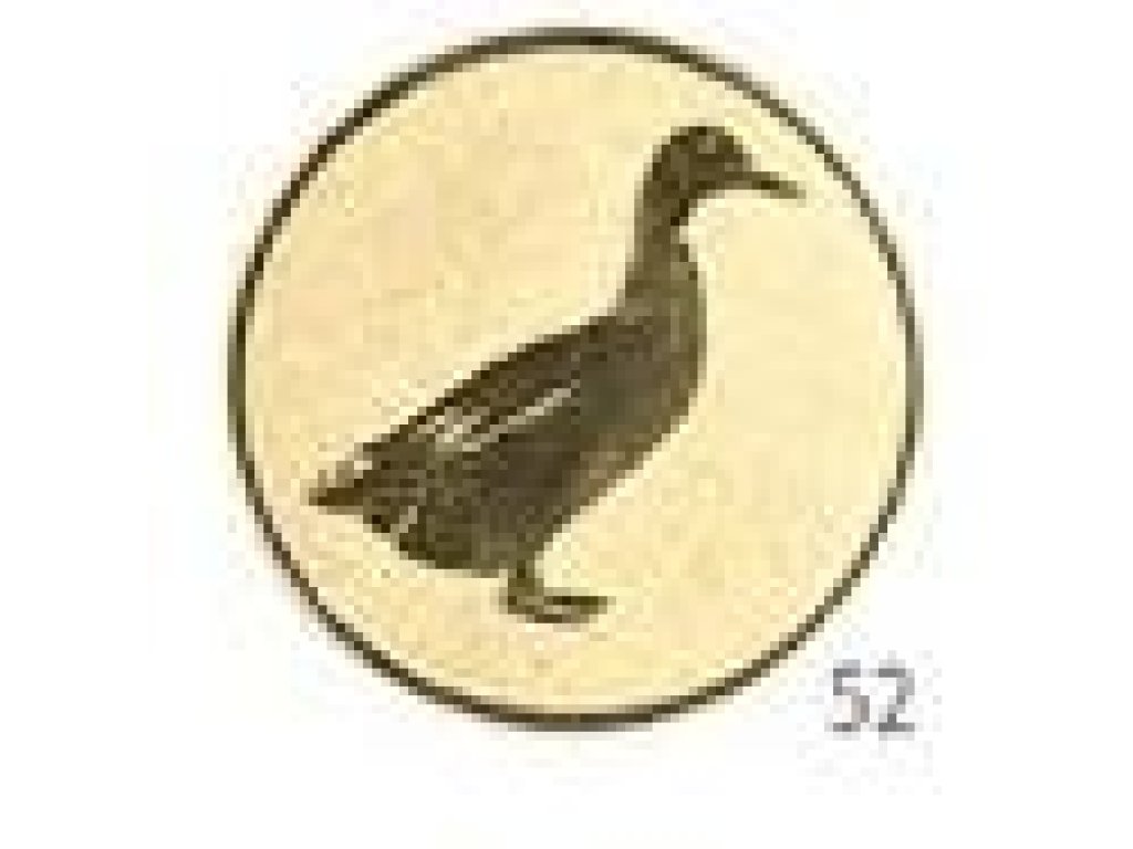Emblém kachna - LTK52