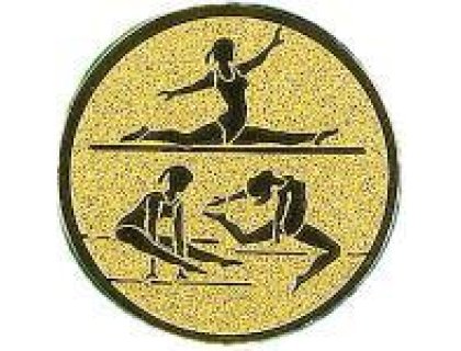 Emblém gymnastika - LTK127