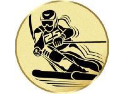 Emblém snowboarding - LTK186