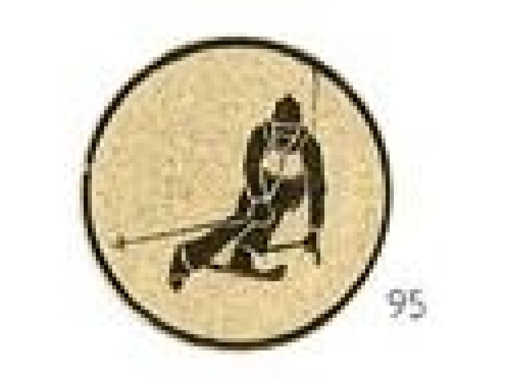 Emblém sjezd - E045
