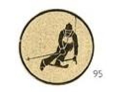 Emblém sjezd - E045