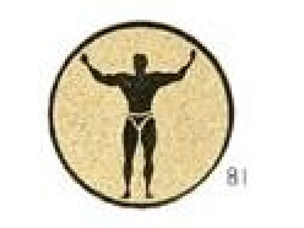 Emblém kulturistika - E026