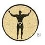 Emblém kulturistika - E026