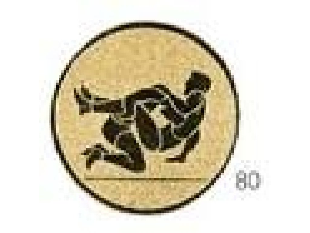 Emblém zápas - E028