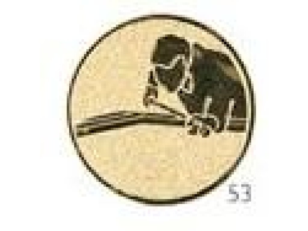 Emblém biliár - E066