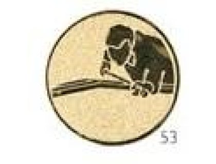 Emblém biliár - E066