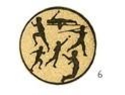 Emblém atletika, víceboj - E080